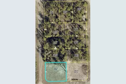 1015 Kodiak Avenue, Lehigh Acres, FL 33974 - Photo 1