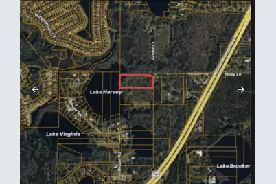 Holly Lane, Lutz, FL 33558 - Photo 3