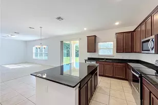 2471 Sky Stone Ct, Oakland, FL 34787 - Photo 17