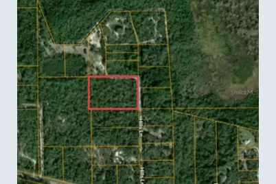 Hill Lane, Palatka, FL 32177 - Photo 3