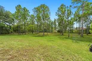 19118 Palmland St, Orlando, FL 32833 - Photo 75