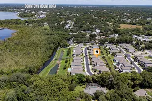 1211 Dora Parc Ln, Mount Dora, FL 32757 - Photo 13