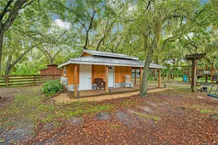 4410 Mildred Bass Rd, Saint Cloud, FL 34772 - Photo 49