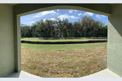 20007 Royal Tern Court, Leesburg, FL 34748 - Photo 23
