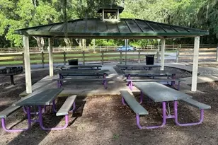 1988 Ancient Oak Dr, Ocoee, FL 34761 - Photo 39