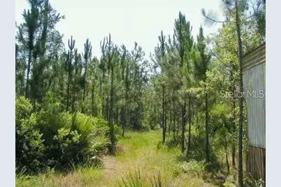 323 Old Bubbly Road, Pierson, FL 32180 - Photo 3