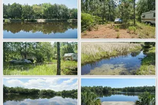 323 Old Bubbly Rd, Pierson, FL 32180 - Photo 1