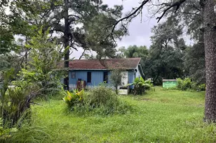 18436 17th Ave, Orlando, FL 32833 - Photo 3