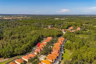 375 Orange Cosmos Blvd, Davenport, FL 33837 - Photo 77