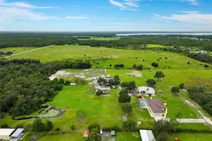 4594 Hickory Tree Rd, Saint Cloud, FL 34772 - Photo 3
