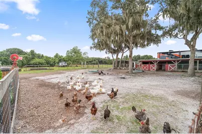 4594 Hickory Tree Rd, Saint Cloud, FL 34772 - Photo 37