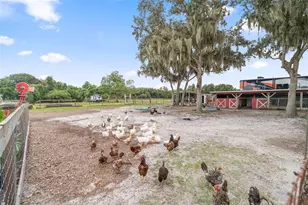 4594 Hickory Tree Rd, Saint Cloud, FL 34772 - Photo 37