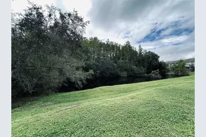 10453 Westpark Preserve Boulevard, Tampa, FL 33625 - Photo 37