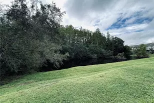 10453 Westpark Preserve Blvd, Tampa, FL 33625 - Photo 37