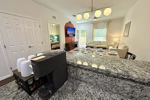 8988 Silver Pl, Kissimmee, FL 34747 - Photo 19