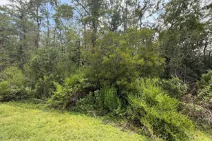 Tunbridge St, Orlando, FL 32833 - Photo 1