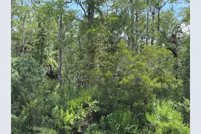Tunbridge Street, Orlando, FL 32833 - Photo 3