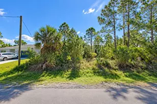 3201 Fitzpatrick Ave SW, Palm Bay, FL 32908 - Photo 1