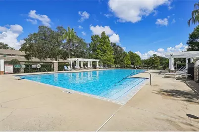 8608 Brookvale Drive, Windermere, FL 34786 - Photo 39