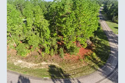 6698 N Foxdale Drive, Citrus Springs, FL 34434 - Photo 5