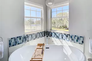 10542 Wittenberg Way, Orlando, FL 32832 - Photo 9