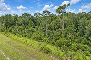 Topeka Ave, Saint Cloud, FL 34773 - Photo 7