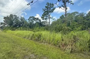Topeka Ave, Saint Cloud, FL 34773 - Photo 5