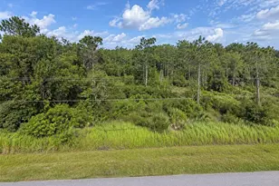 Topeka Ave, Saint Cloud, FL 34773 - Photo 1