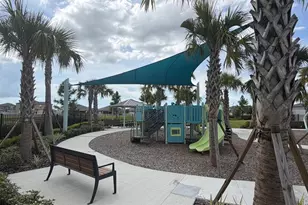 13513 Nobre Garnet, Parrish, FL 34219 - Photo 31