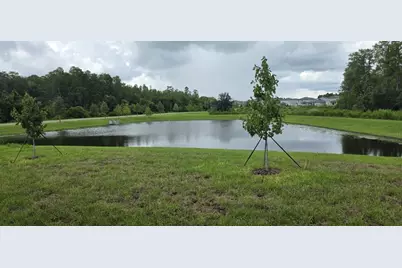 17837 17837 Grassybend Loop, Land O Lakes, FL 34638 - Photo 3