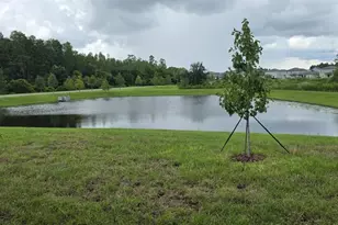 17837 17837 Grassybend Loop, Land O Lakes, FL 34638 - Photo 3