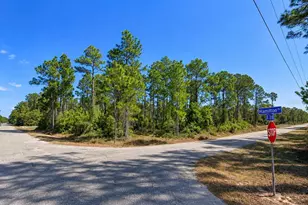 3001 E 21st St, Alva, FL 33920 - Photo 1