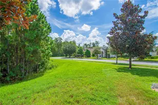 8091 Bowery Dr, Winter Garden, FL 34787 - Photo 35