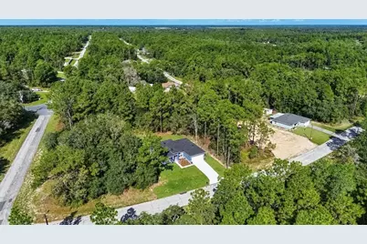 11038 N Frantz Avenue, Dunnellon, FL 34434 - Photo 55