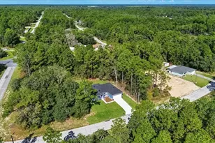11038 N Frantz Ave, Dunnellon, FL 34434 - Photo 55