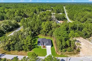 11038 N Frantz Ave, Dunnellon, FL 34434 - Photo 53