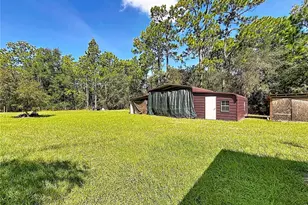 2670 SE 141 Ave, Morriston, FL 32668 - Photo 39