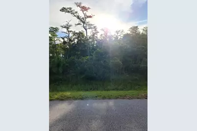 Pierre Avenue #Lot 162, Saint Cloud, FL 34773 - Photo 1