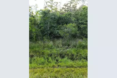 Pierre Avenue #Lot 162, Saint Cloud, FL 34773 - Photo 3