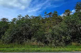 Pierre Ave, Saint Cloud, FL 34773 - Photo 1