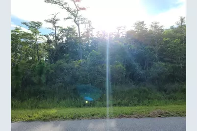 Pierre Avenue #Lot 162, Saint Cloud, FL 34773 - Photo 5