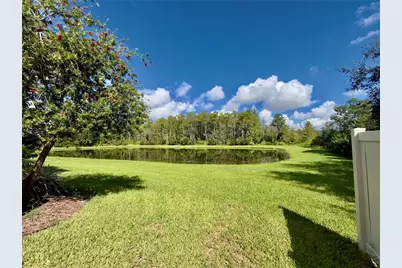 10805 Wyne Tree Court, Orlando, FL 32824 - Photo 35