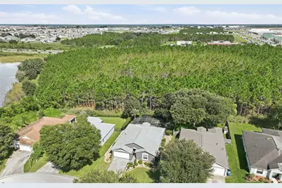 239 China Berry Circle, Davenport, FL 33837 - Photo 37