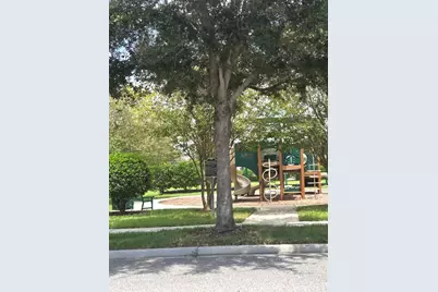 15717 Kinnow Mandarin Lane, Winter Garden, FL 34787 - Photo 13