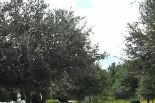 15717 Kinnow Mandarin Ln, Winter Garden, FL 34787 - Photo 55