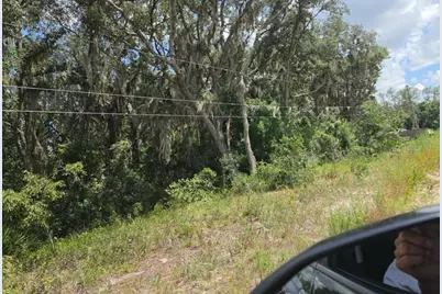 416 N Walker Road, Avon Park, FL 33825 - Photo 1