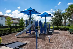 11543 Charnock Dr, Windermere, FL 34786 - Photo 19
