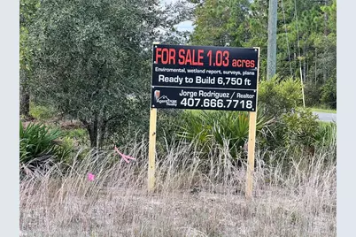 Dallas Boulevard, Orlando, FL 32833 - Photo 5