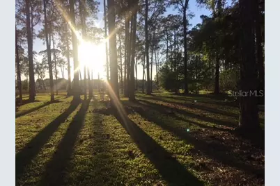 50989 Highway 27 #128, Davenport, FL 33897 - Photo 27