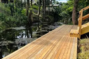 896 Cr 485A, Lake Panasoffkee, FL 33538 - Photo 49